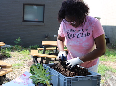 PAST Foundation urban agriculture